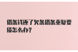 兴仁为什么选择专业追讨公司来处理您的债务纠纷？